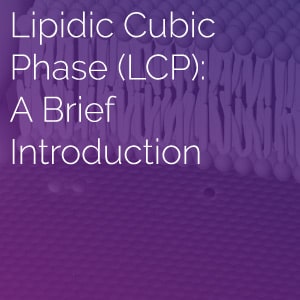The bicontinuous bilayer formed by LCP mimics the cellular membrane and thus stabilizes the proteins, enabling crystallization.