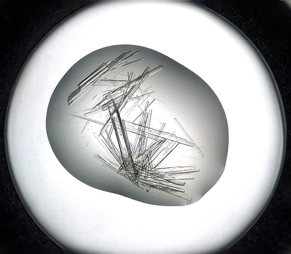 protein crystals needles visible light