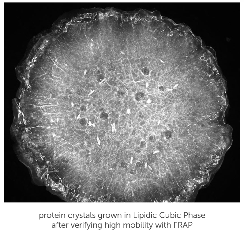 protein crystals grown in lipidic cubic phase