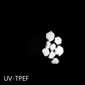 Protein Crystals SONICC UV-TPEF