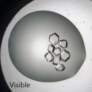 Protein Crystals SONICC visible light