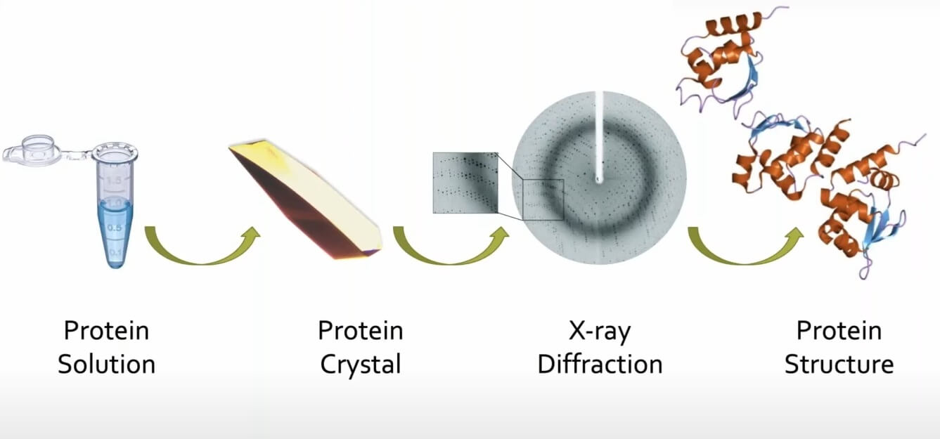 seeing is beleiving Protein Crystallization (1)