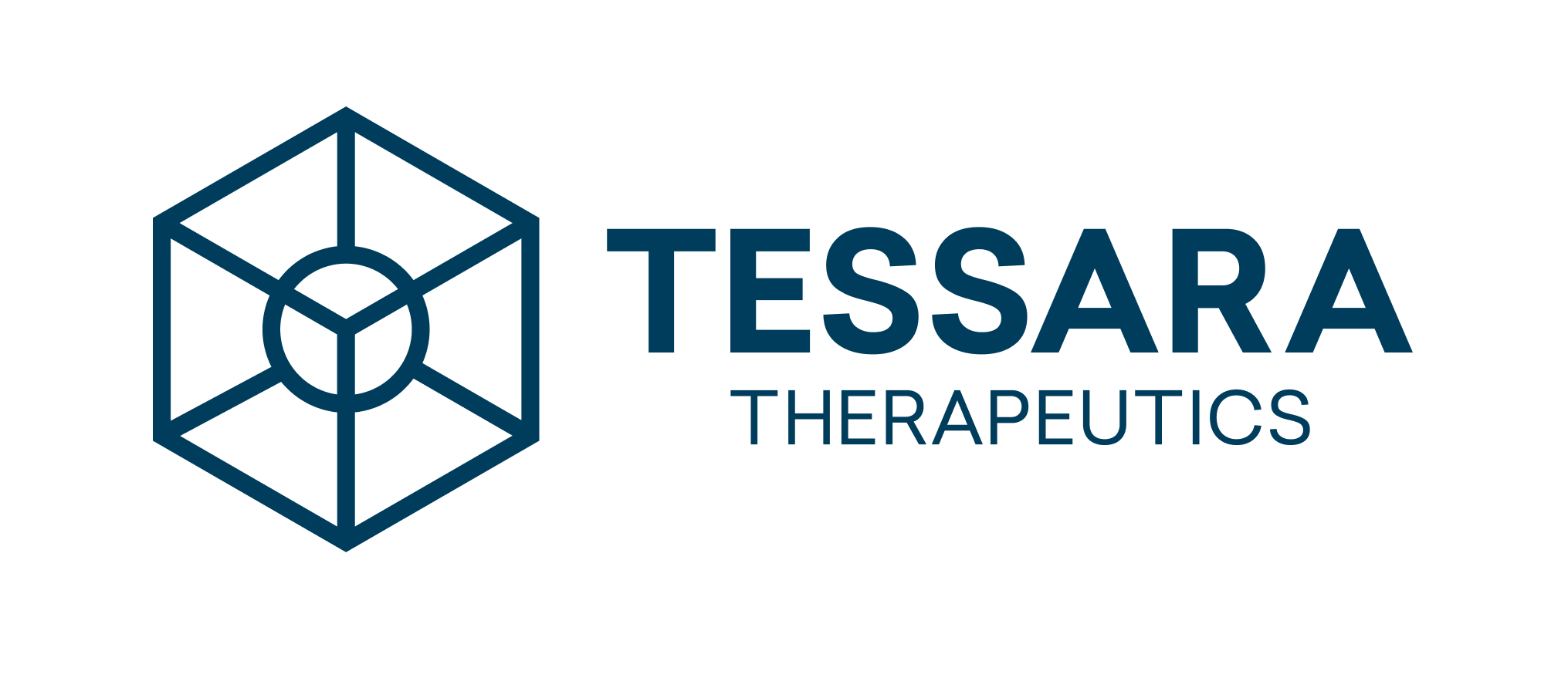 Tessara_Logo_Horizontal (1)