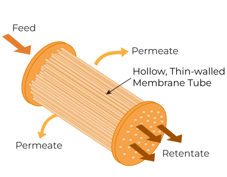 Hollow Fiber