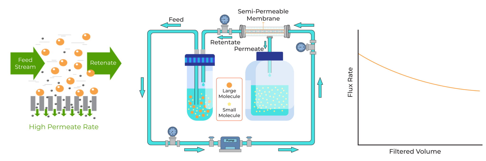 Tangential flow-filtration