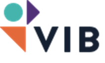 VIB logo (1)