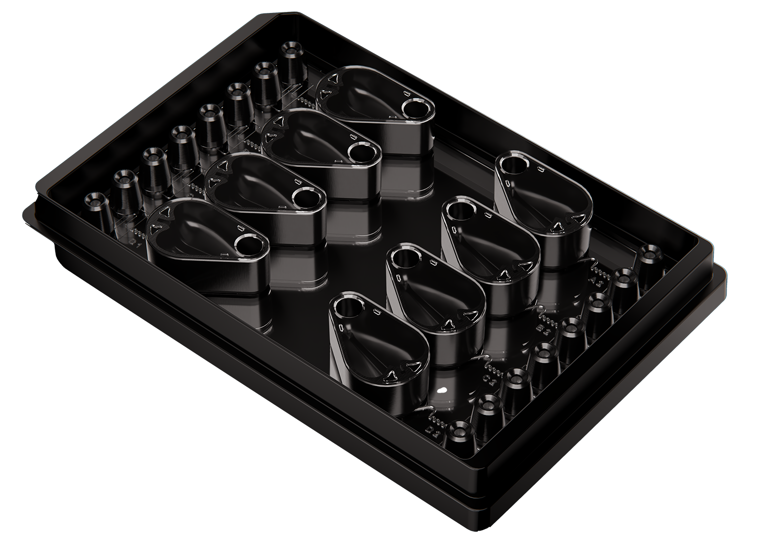 LNP Screening Array1